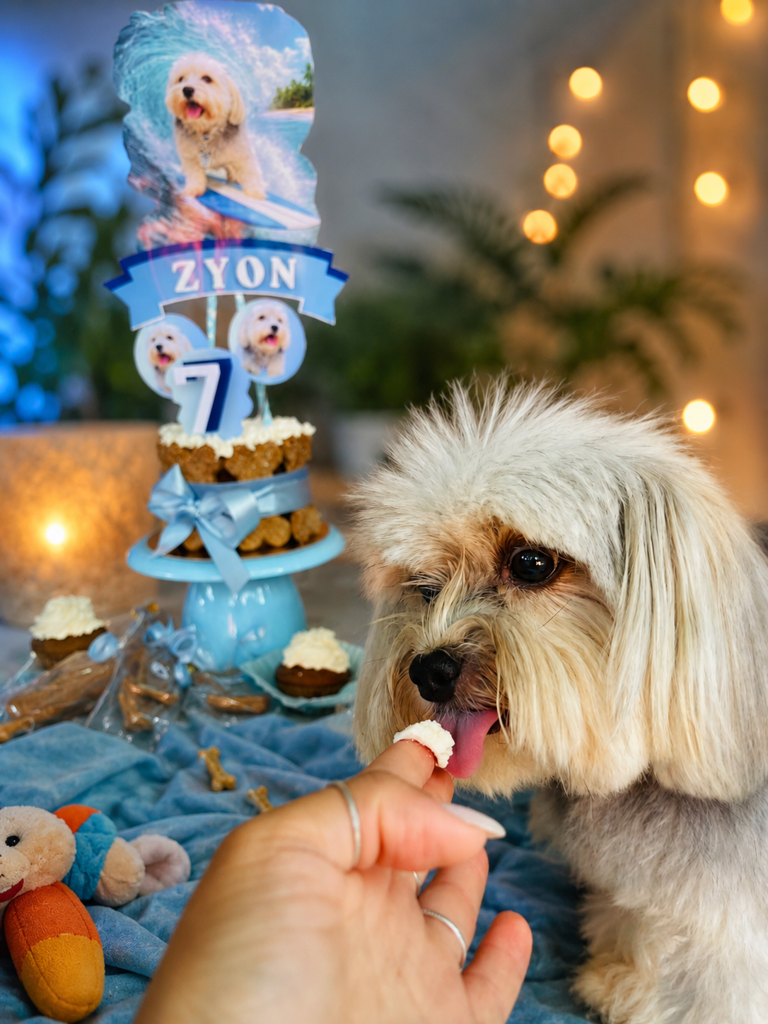 Tutora com seu cachorro celebrando o AUniversário com kit festa personalizado da Chef Pet Gourmet